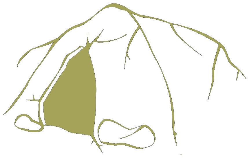Caverns Motel bat logo